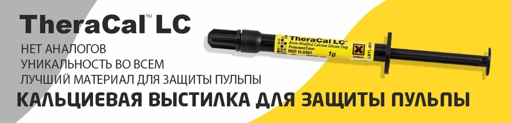 TheraCal LC